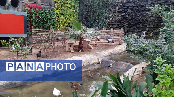 باغ پرندگان قم: جاذبه‌ای بی‌نظیر در قلب کشور