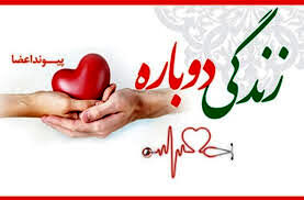 اهدای عضو نهمین ایثارگر از استان اردبیل در سال ۱۴۰۴ 