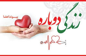 اهدای عضو یک فلسفه زندگی است