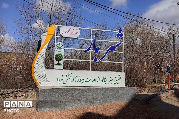 اولین شکوفه های بهاری در شهر بار نیشابور