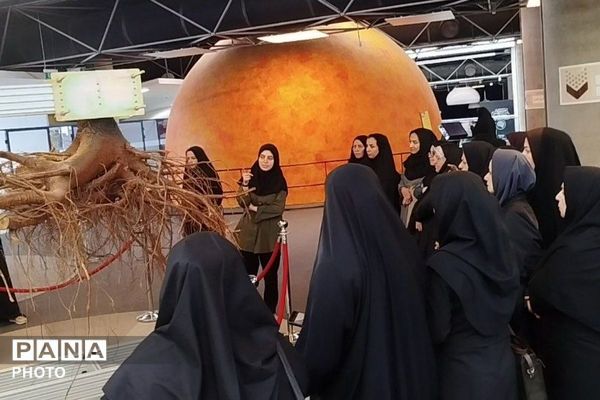  اردوی علمی ـ آموزشی معاونین آموزشی مدارس ابتدایی شهرری در باغ کتاب تهران