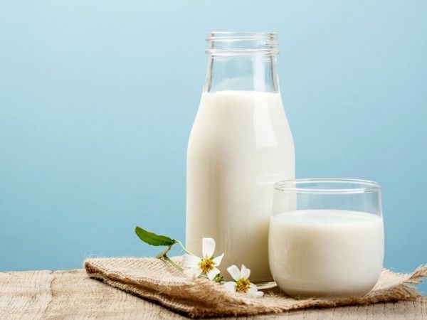 قیمت مصوب شیرخام اعلام شد