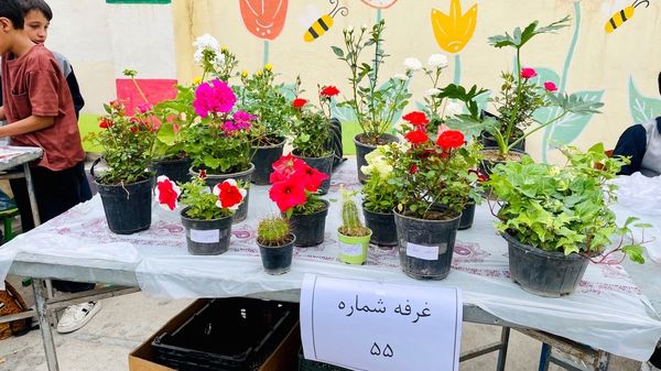 برپایی بازارچه در دبستان معلم آشخانه 