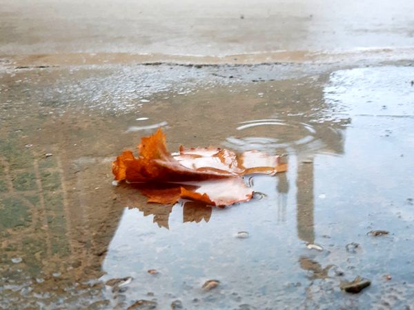لردگان زیر باران، طراوت زمستانی در دل کوهستان