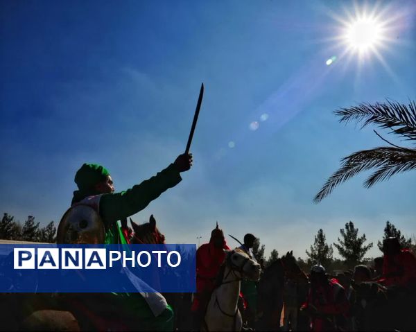 مجموعه عکس«علم از دست علمدار نیفتاده است هنوز»