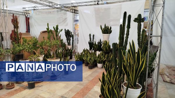  نمایشگاه و بازارچه محصولات و توانمندی‌های روستایی در نیشابور