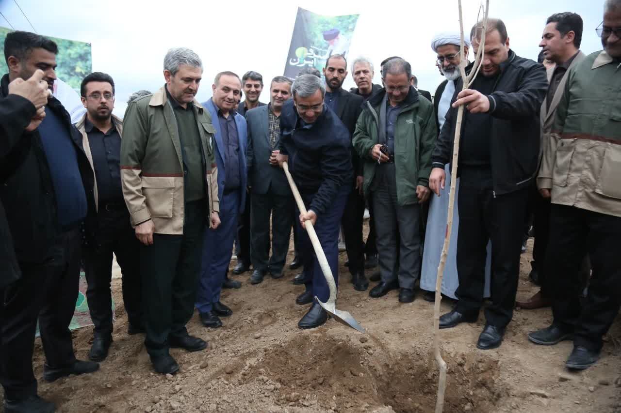درختکاری «سرو ایران» حرکت ملی برای حیات سبز کشور است