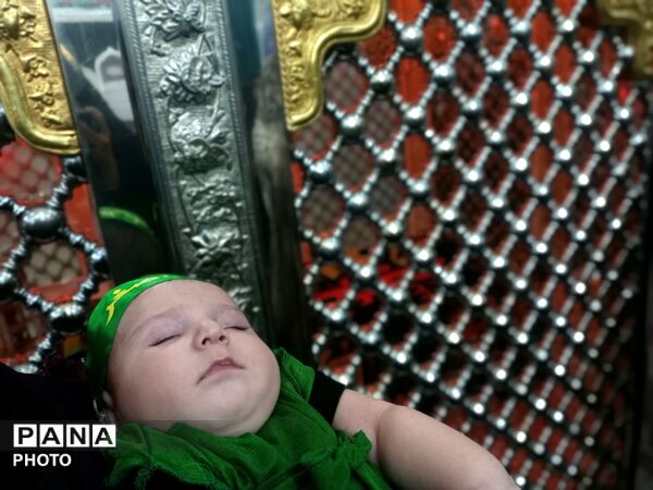 شهادت حضرت علی اصغر(ع) سند مظلومیت امام حسین(ع) 