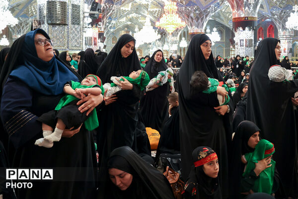 آیین معنوی «شیرخوارگان حسینی» در حرم مطهر رضوی