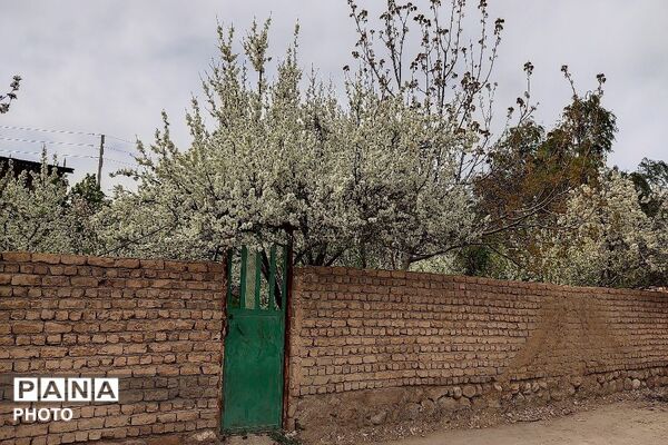 آلبوم تصویری از طبیعت زیبای شهر بار در اردیبهشت‌ماه  ۱۴۰۵ -1