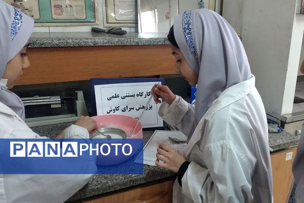 مزه شیرین علم، بستنی علمی