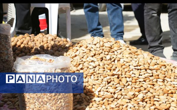 جشن بزرگ بادام در تفرش