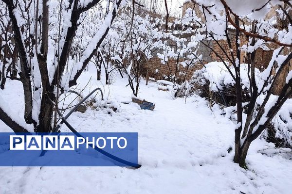 آلبوم تصویری از برف در طبیعت شهر بار 
