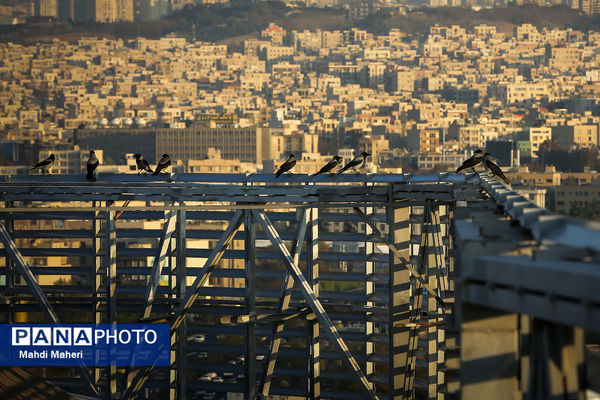 آلودگی هوای تهران