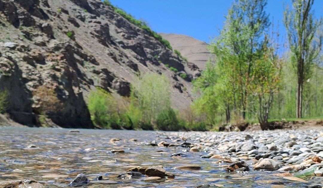 فصل بهار، فرصتی برای سر زندگی روح