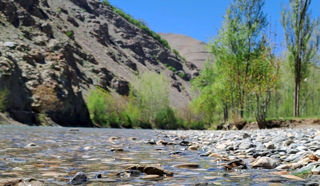 فصل بهار، فرصتی برای سر زندگی روح