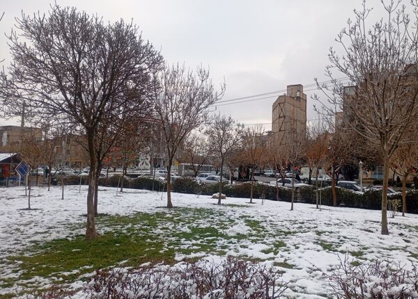 بارش برف در شهر زیبای مشهد 