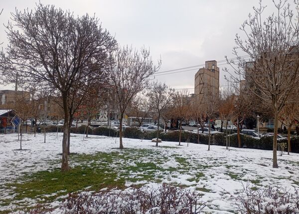 بارش برف در شهر زیبای مشهد 