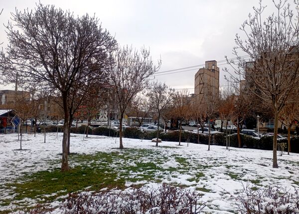 بارش برف در شهر زیبای مشهد 