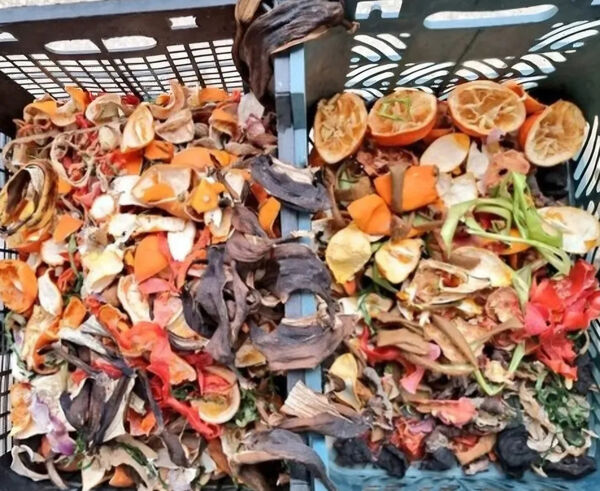 برگزاری اولین جشنواره خشکاله در استان گیلان