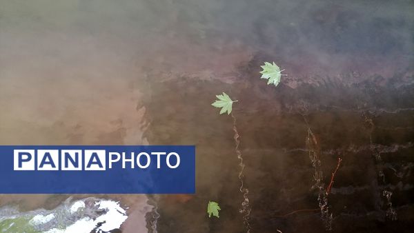 باغ بهادران؛ بهشت کوچکی در اصفهان