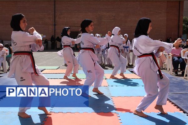 کلید خوردن طرح ملی «میدان پویا» در بهارستان‌دو