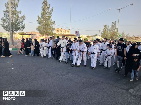 قدم هایی در راه سیدالشهدا