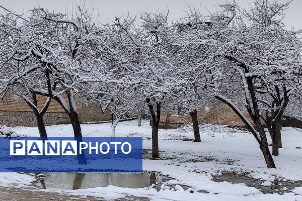 آسمان سخاوتمندانه نعمتش را در ماه شعبان به زمین شهر بار هدیه کرد