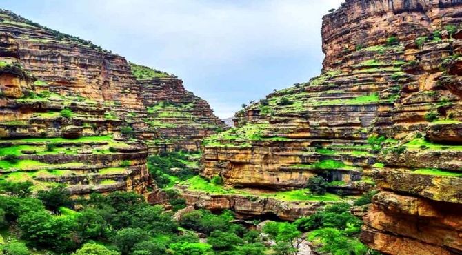 شکوه خلقت نغمه‌ای از رنگ، نور و زندگی