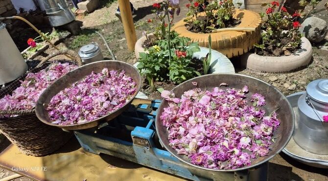 جشنواره محصولات خانگی کوهسار در روستای سپیداران