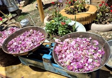 اولین جشنواره محصولات خانگی کوهسار در روستای سپیداران