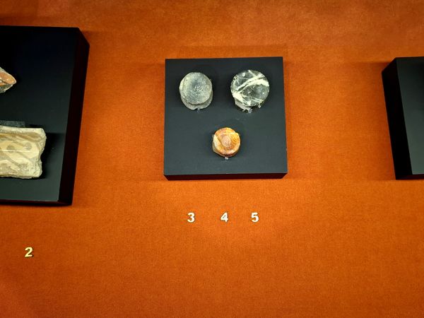 گشتی در تاریخ؛ از مدرسه دارالفنون به سمت دوره ایران باستان