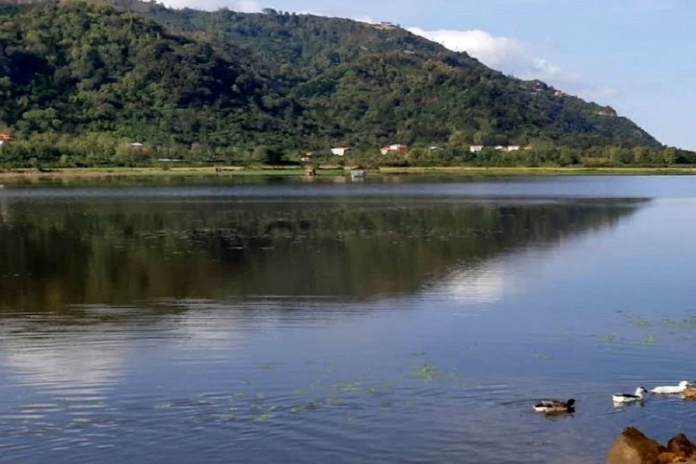 اماکن دیدنی کومله/ فیلم