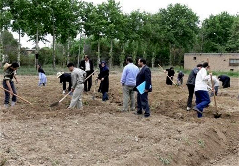فارغ‌التحصیلان هنرستان‌های کشاورزی را تبدیل به مدیرانی خوب برای مزارع کنیم