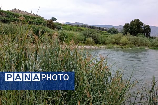 نجوای ارمند؛ سمفونی طبیعت در آبچنار