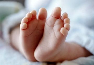 ثبت حدود ۹۸۰ هزار واقعه ولادت در سال ۱۴۰۳