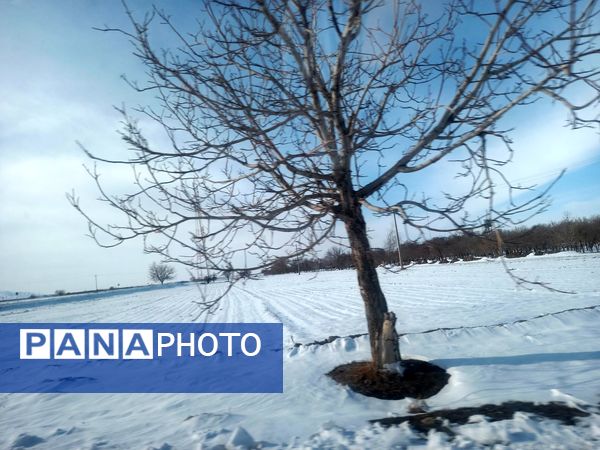 بارش برف زمستانی در روستا بتو 