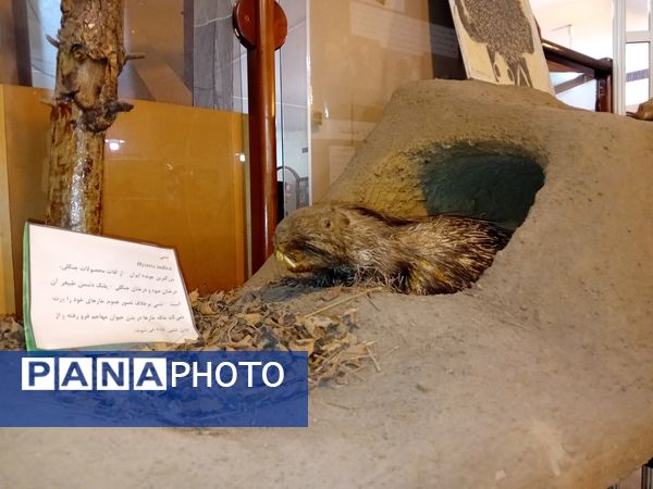 بازدید  خبرنگاران مسئله محور از موسسه گیاه پزشکی تهران