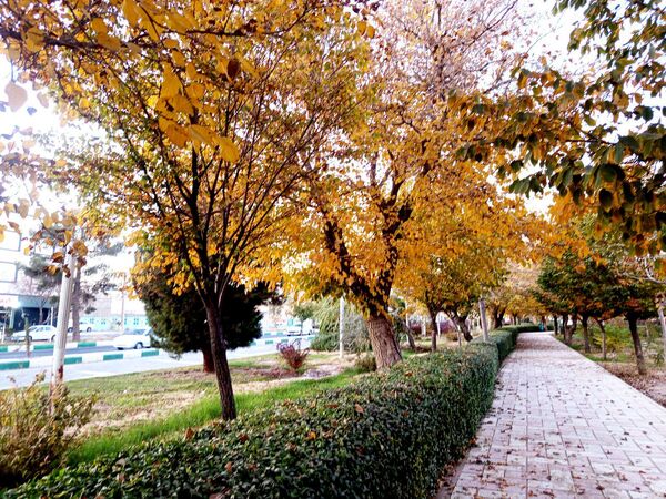 طبیعت زیبای کاشمر در پاییز
