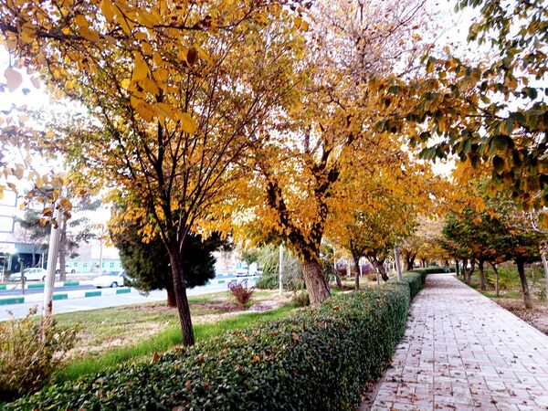 طبیعت زیبای کاشمر در پاییز
