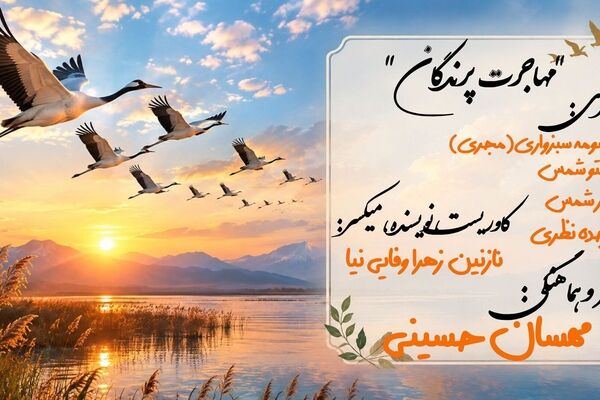 وقتی پرندگان راهی سفر می‌شوند