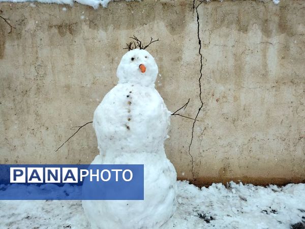 بارش برف در شهرستان تربت جام