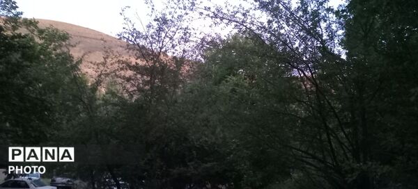 حال و هوای درختان روستای مایان
