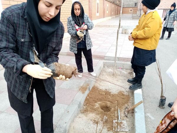 زینت بخشی مدارس شهرستان قدس با کاشت نهال های جوان