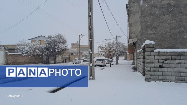 عروس فصل‌ها باری دیگر مهمان شهرستان بن