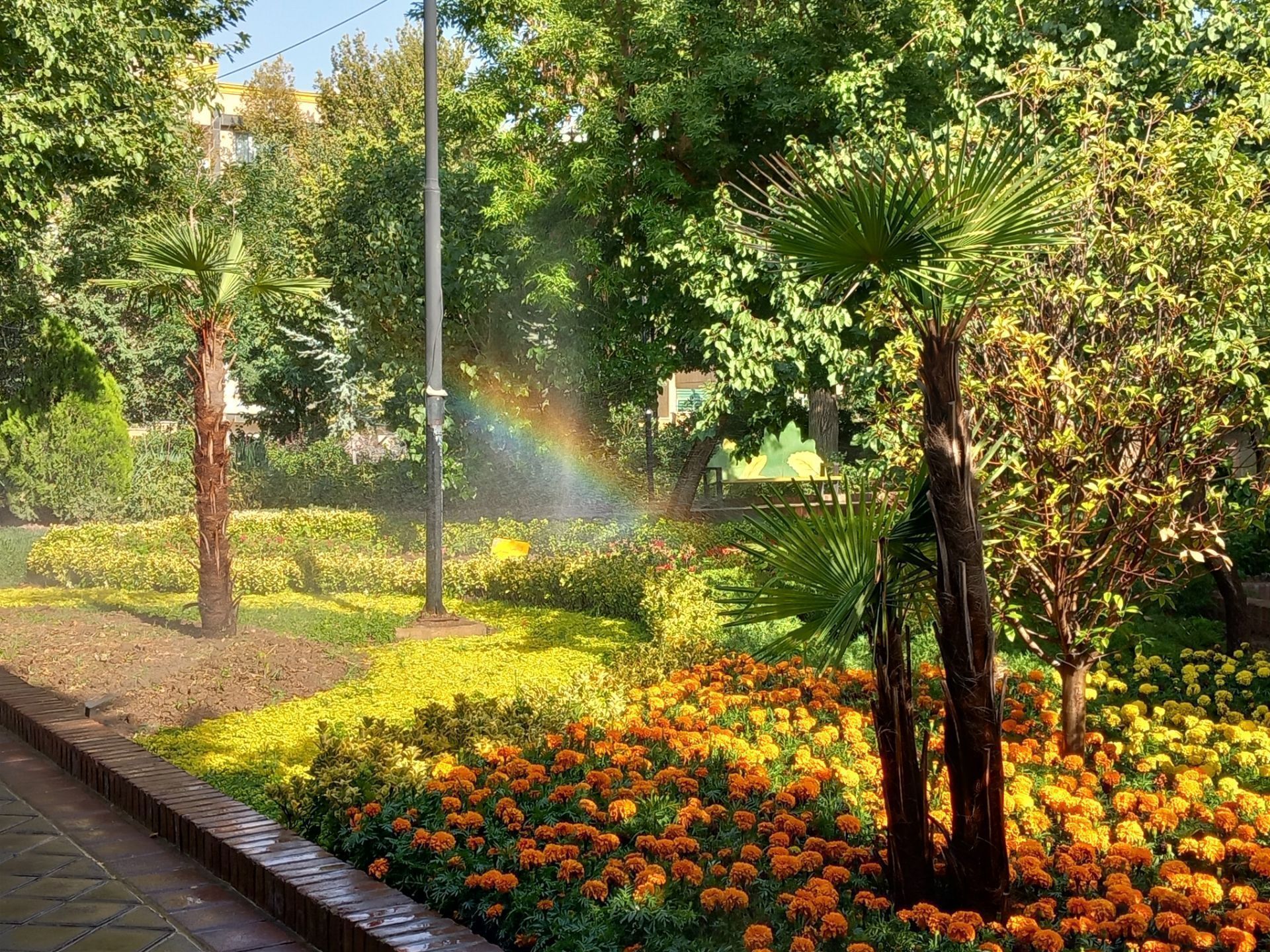 طبیعت زیبای همدان در قاب دوربین