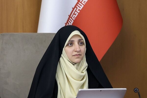راهبرد دولت چهاردهم، تحقق توسعه پایدار در تعاونی های مرتبط با زنان است
