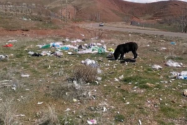 پاکسازی طبیعت در روز طبیعت