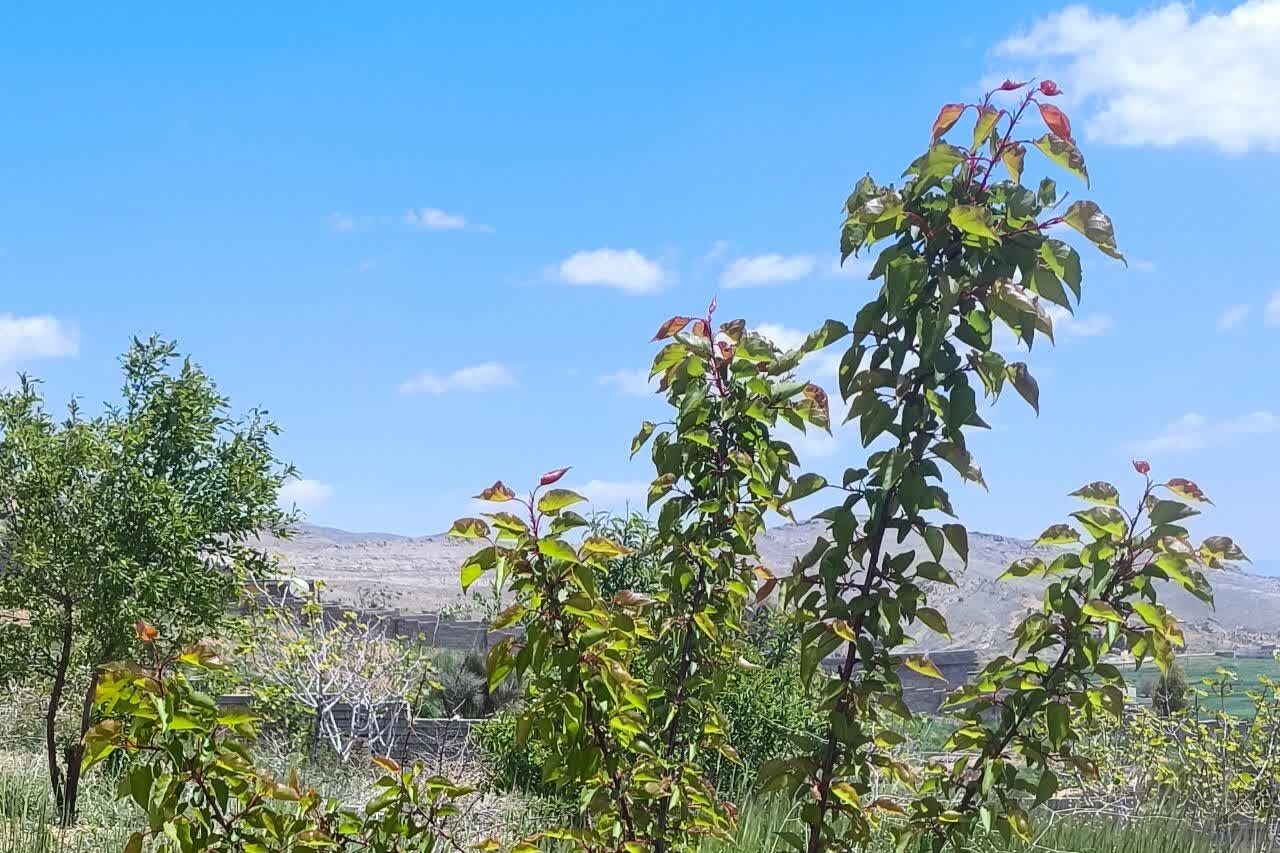 تصاویری از طبیعت زیبا و دیدنی روستای بردج