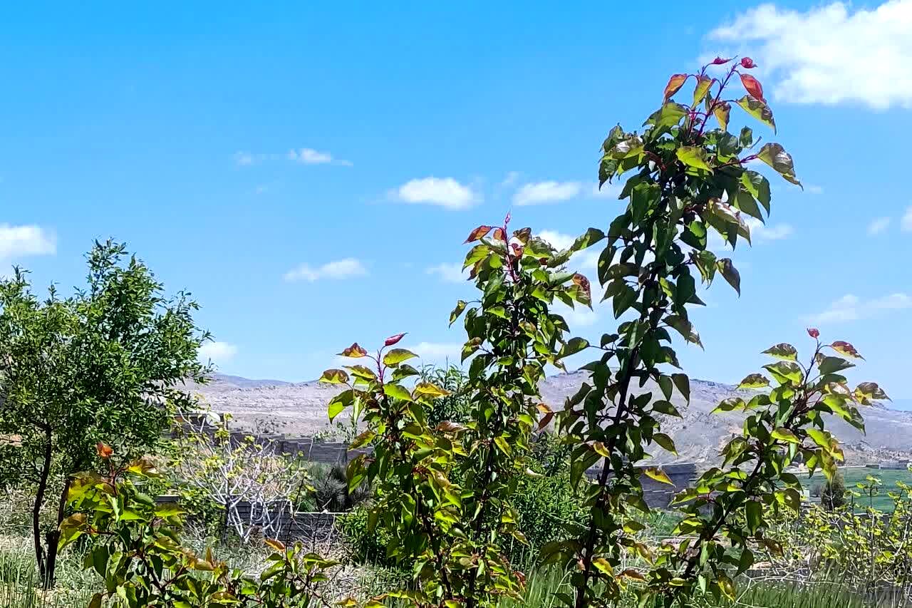 تصاویری از طبیعت زیبا و دیدنی روستای بردج